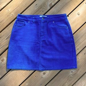 Mini Blue Corduroy Skirt